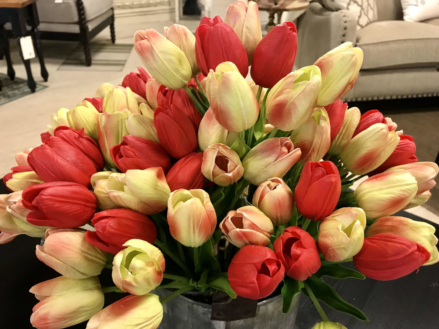 tulips_abbey.jpg